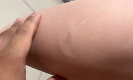 全新微瑕165cm单体