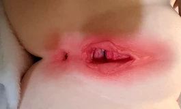 nicedoll 半身娃开箱 用料做工精细没毛病