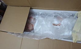 镜华娃娃开箱，150星柚来咯