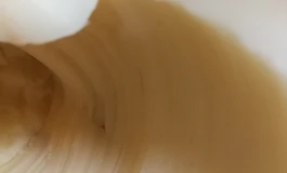 挖洞硅胶娃，表面99新，600包邮走闲鱼