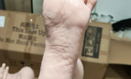 红尘伴侣 161D开箱分享