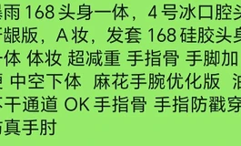 暴雨科技99新头身一体 168冰4