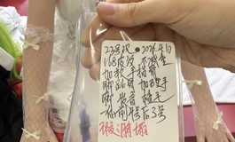 转手shedoll两个展厅瑕疵品娃青柠江小棠