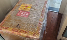 shedoll 江小碗1.56tpe身3.0头