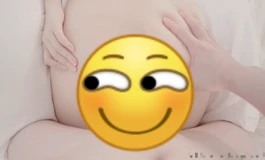 继续更新主播同款半身