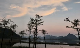 带女鹅秋游，重拾快乐