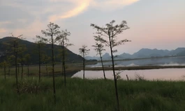 带女鹅秋游，重拾快乐
