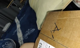 ava家的飞机杯体验