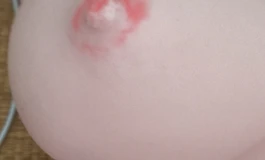 toysheart布兰琪半身 300不包邮老款伊拉