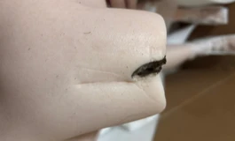 想了一晚上还是决定发帖维护自己的权益