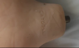 已出~450元出catdoll118麦色tpe单身体，带钢印，松骨架