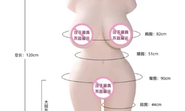 求助，请各路大佬帮新人选一下入门娃娃
