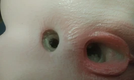 已出出！最后一个硅胶搅拌机儿，这个是12斤的。300出。