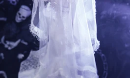 今天的莉莉丝，藏在一层白色蕾丝后面；