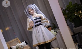 打倒魔王的勇者一行的魔法使，长寿的精灵族，人类族大魔法使伏拉梅的徒弟。
