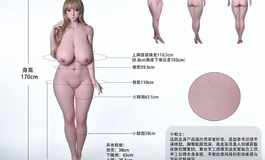 nicedoll  170大车  本月26号发售